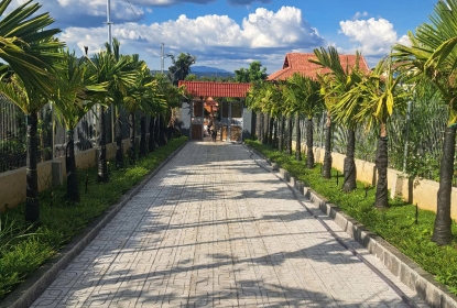 cau-lun